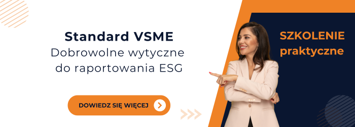 Zapraszamy na szkolenie z VSME.