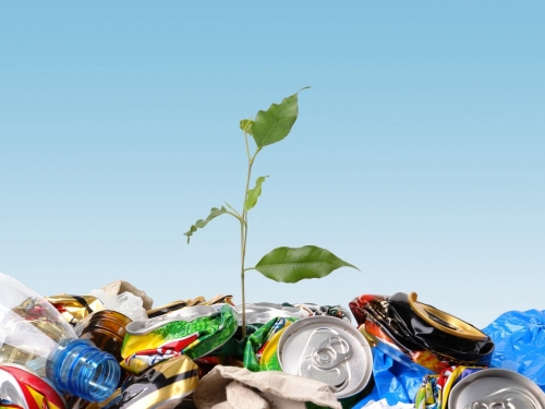 Nowe zasady segregacji śmieci. Czy uda się spełnić unijne wymagania odnośnie poziomu recyklingu do 2020 roku?
